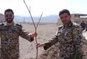 کاشت۱۴۰۰ اصله درخت در منطقه پدافند هوایی شرق ارتش
